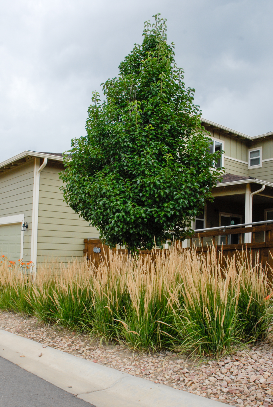 Small Rock Mulch Yard